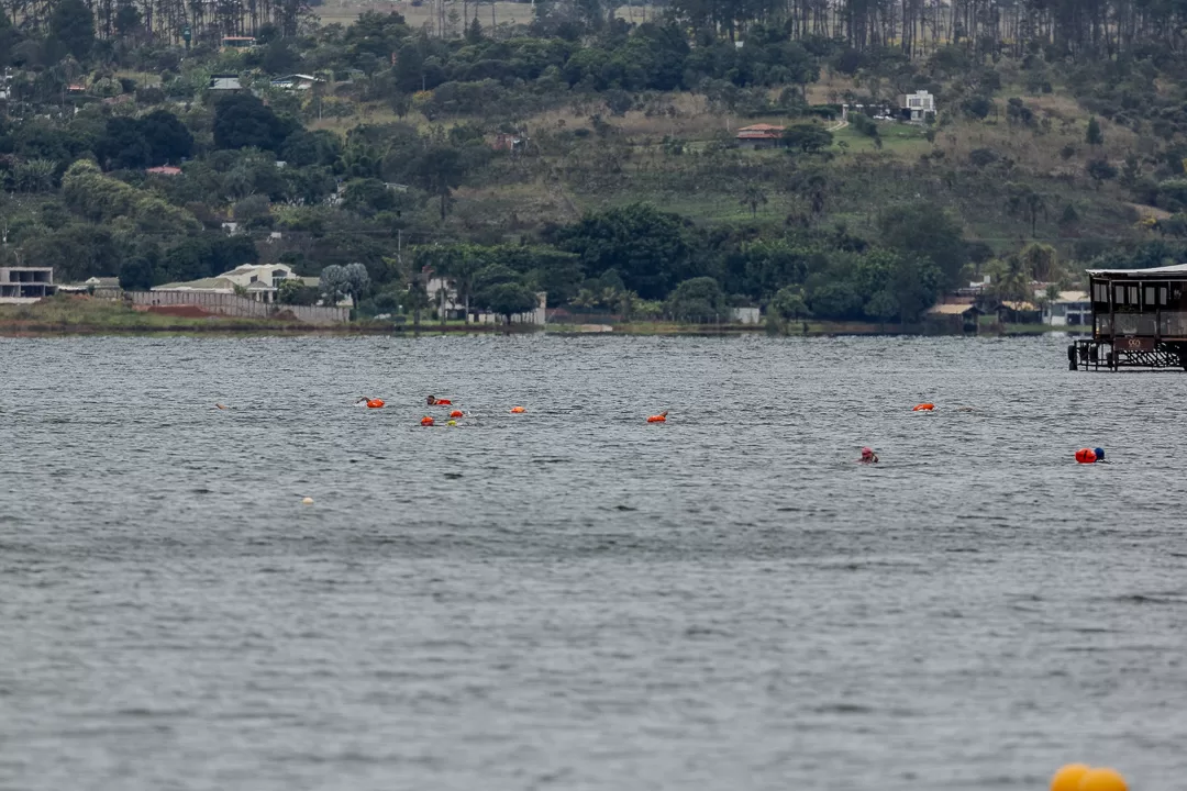 new wake-12
