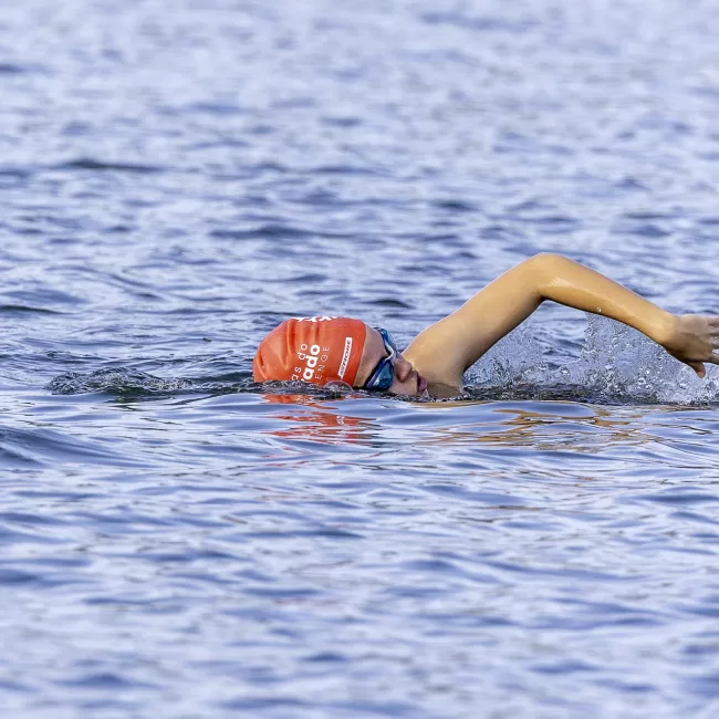 ACC 30nov2025 - Best-8